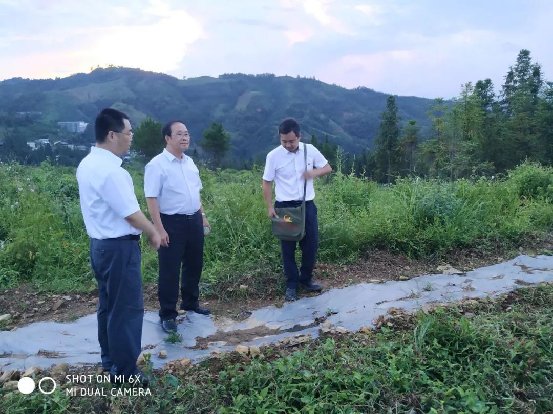 州人民政府副州长吴坦赴领真村调研脱贫攻坚工作