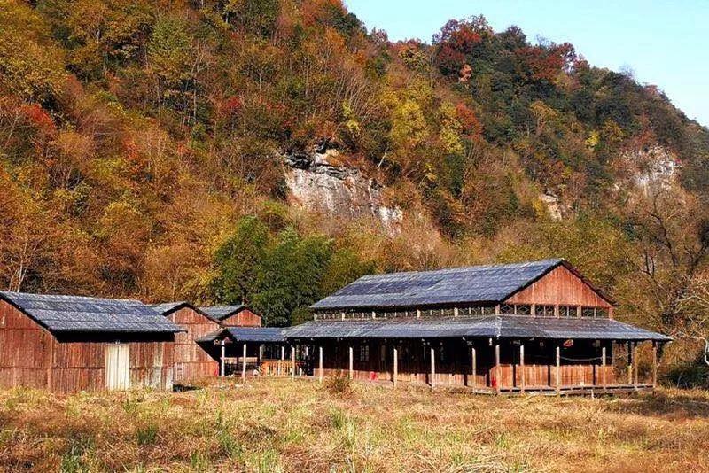 祁门县全域旅游指南_黄山