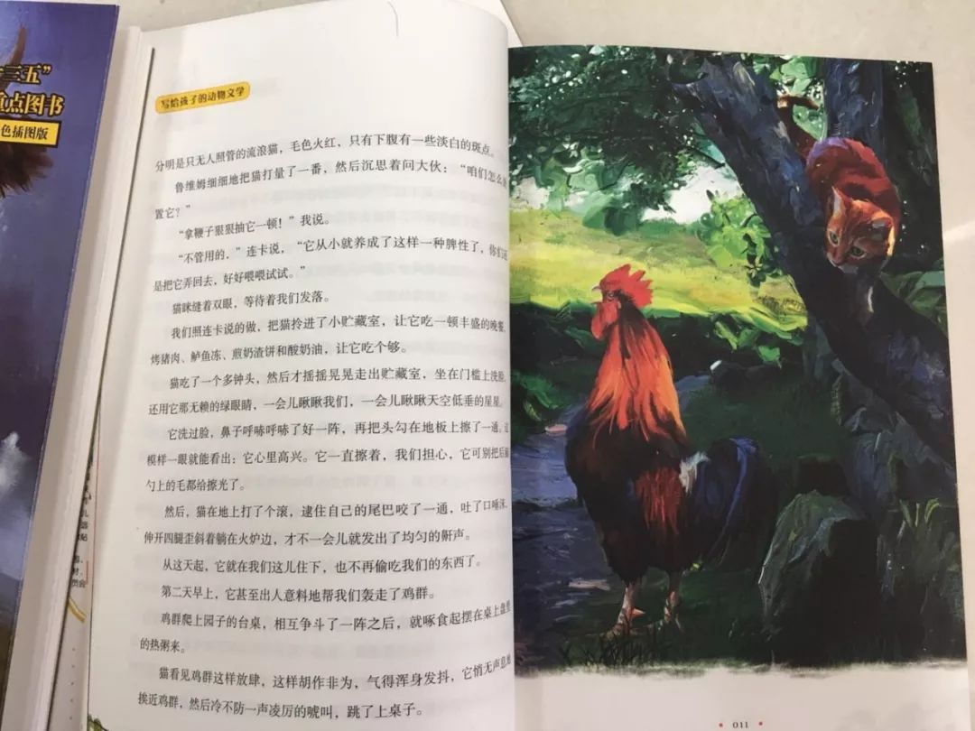 "十三五"黄金图书只有:流程的帆船阅读期孩子一次,千万不要国家!明朝古错过拼图重点图片