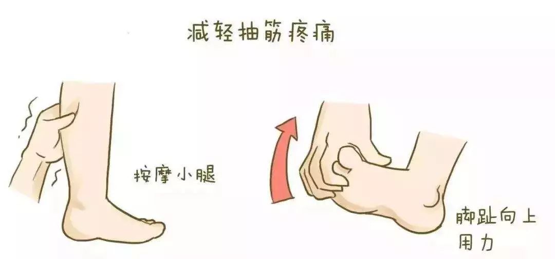 小腿抽筋 小腿抽筋是最厉害的,表现为小腿肚子,就是比目鱼肌的剧烈