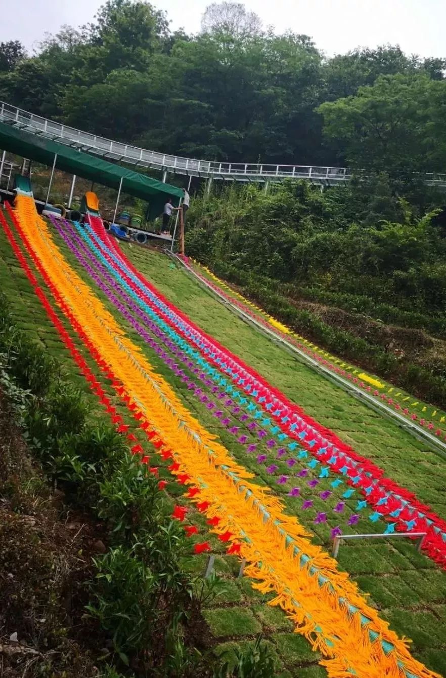 清凉一夏8.17 打卡新昌玻璃滑道 网红摇摆桥 梯田瀑布 滑草