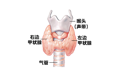 由于甲状腺疾病包括的是比较多的，每种疾病的原因都是不同的。甲状腺疾