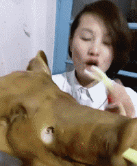 搞笑gif趣图:妹子有点虎啊,不是什么都可以复印