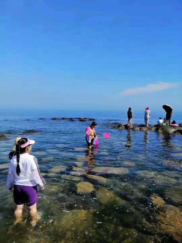 山东龙口桑岛三天两晚旅游详细攻略,第二天,赶海,钓鱼