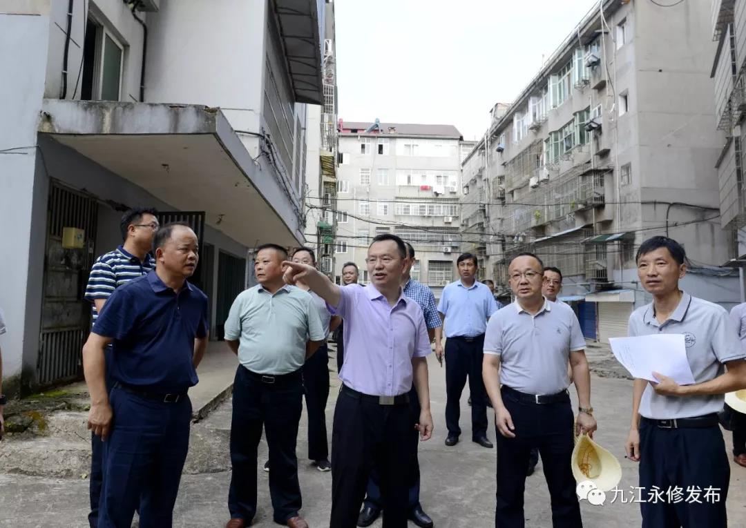 县委常委,宣传部长熊巍,县委常委,县委办主任吴昶,县政府副县长戴军
