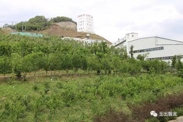 绿色矿山 福泽山河 根植沃土 永续共存