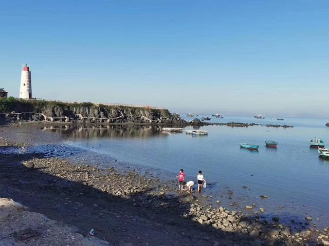 山东龙口桑岛三天两晚旅游详细攻略,第二天,赶海,钓鱼