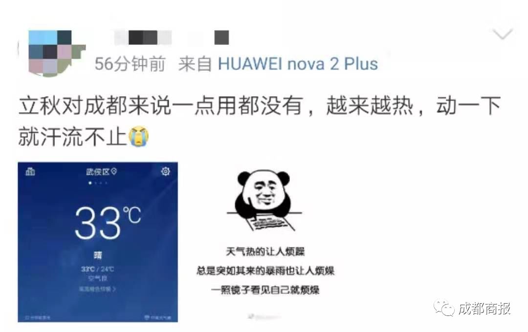ab787b1671db433990d7bbae18e31d35.jpeg
