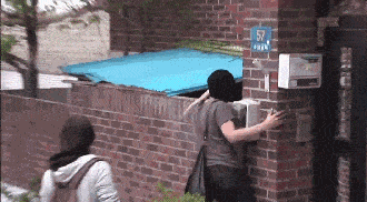 立耳狗大全 ac0c3958cf964848bdc532f73f4a1202.gif