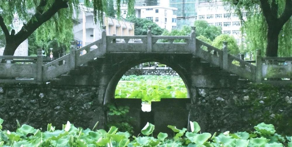 宜春地区有多少人口_宜春有多少劳斯莱斯