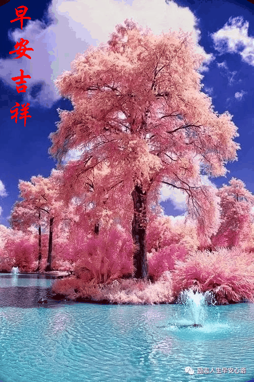 500_750 竖版 竖屏