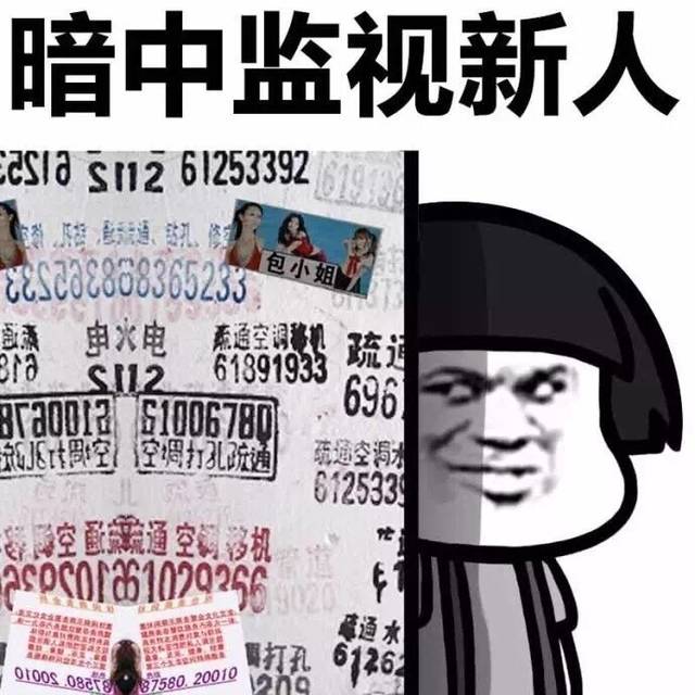 暗中监视新人