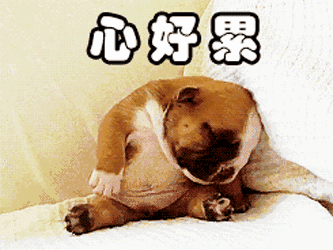 10���רҵ����,������һ����ȴ��������!