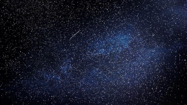 报名夜游环复艺术季即将开幕星光夜跑点燃夏夜星空