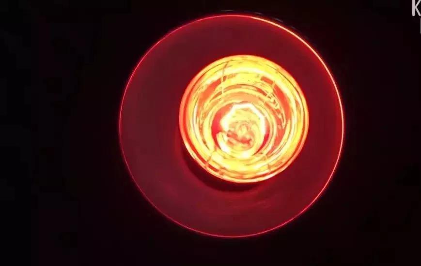 一入睡就尖叫抽搐哭泣,这条狗已经将近一年没