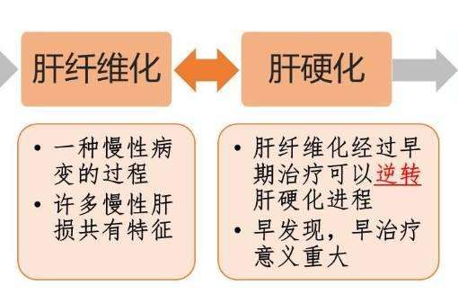 转氨酶已明显异常,乙肝小三阳,需认识定期观察与治疗并不绝对 www.ikangji.com 转氨酶已明显异常,乙肝小三阳,需认识定期观察与治疗并不绝对 ikangji.com
