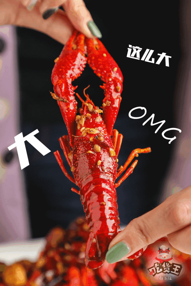 这大钳子~这小龙虾也太大了吧