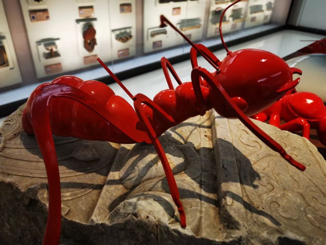 盐城红蚂蚁装饰怎么样