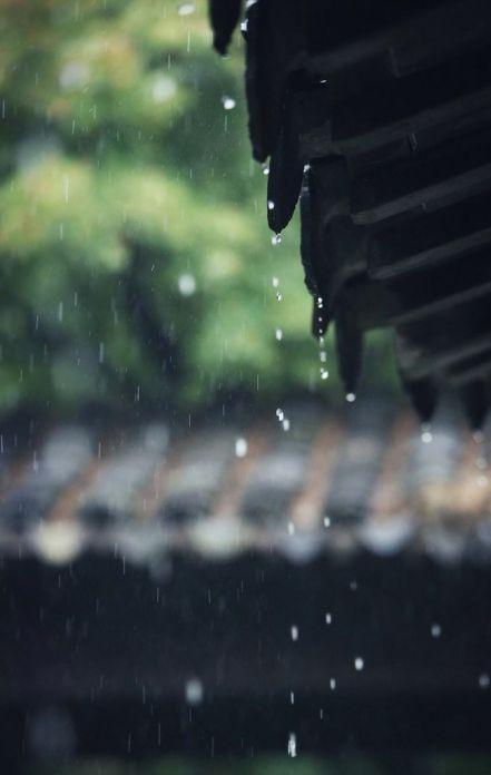                     如果你的白茶发出这四种信号，就说明存坏了！