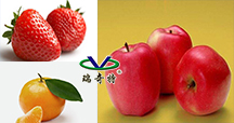 f123a7f2e5c14aa185f88404d8394636.png