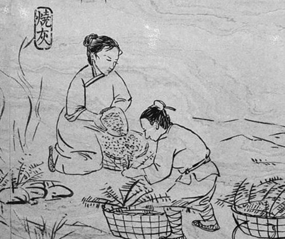                     如果你的白茶发出这四种信号，就说明存坏了！