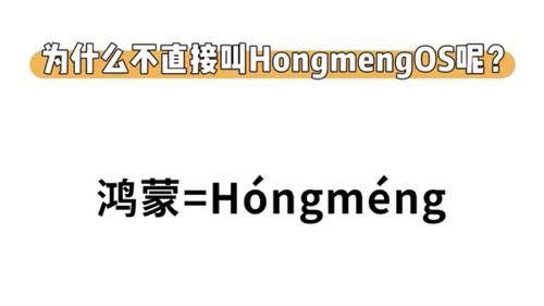 f2a94486fe384eb7b84c5b9166e438fc.jpeg