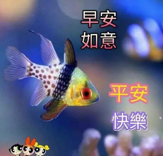 ʮƯϺͼƬ̬ һϺͼƬ