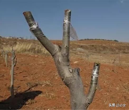 文章配图-3
