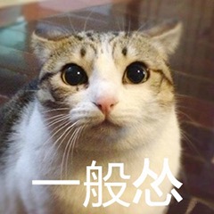 猫猫怂表情包