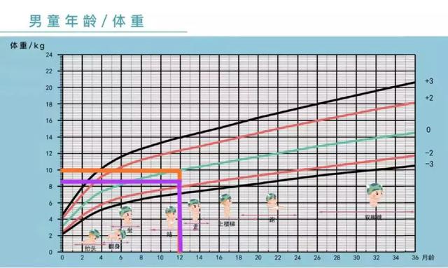                     原创            宝宝偏瘦没你想的那么简单，要想补救看这篇就够了
