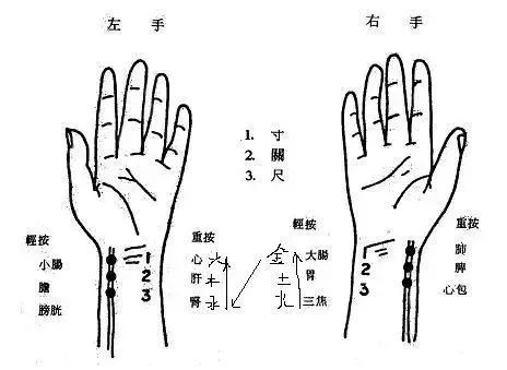 三分钟自学把脉:中医把脉秒学会,最全动图