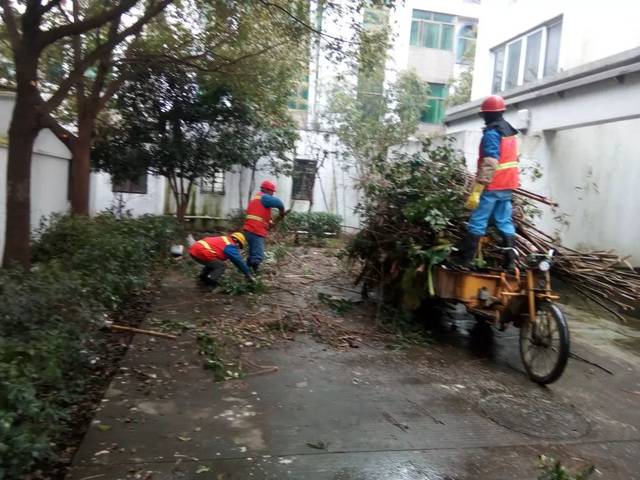 7集镇老小区,横河新村物业管理服务项目