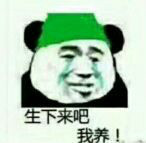 流泪熊猫头绿帽系列表情包:一路绿到底