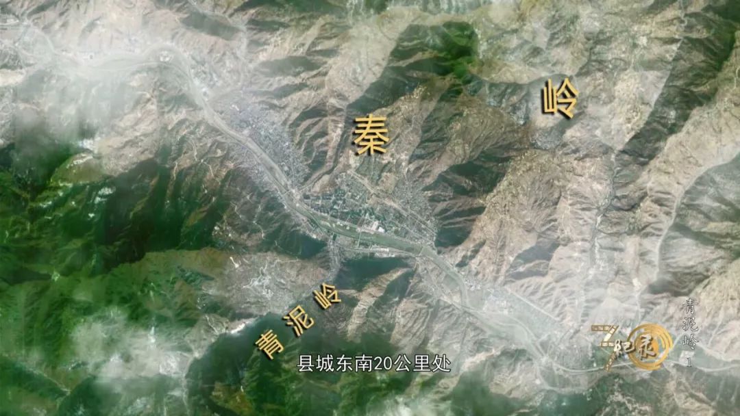预告纪录30分青泥岭