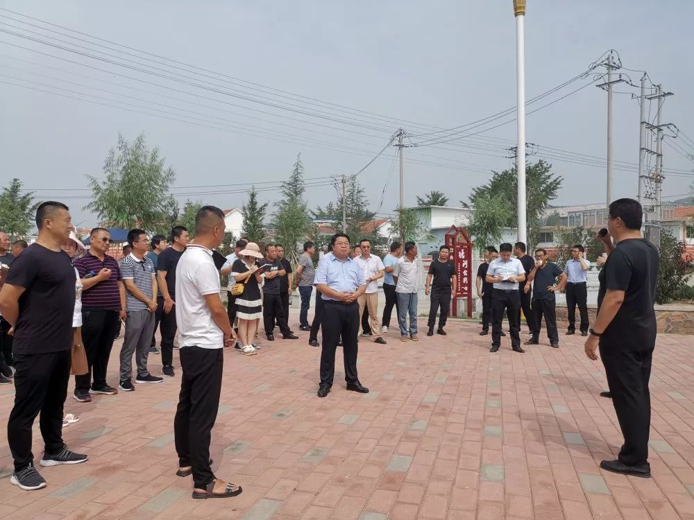 党支部领办合作社莱阳市羊郡镇头雁领航群雁高飞精品示范多点开花