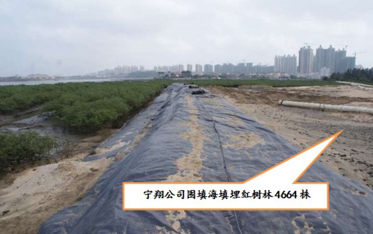 点击图片看原样大小图片