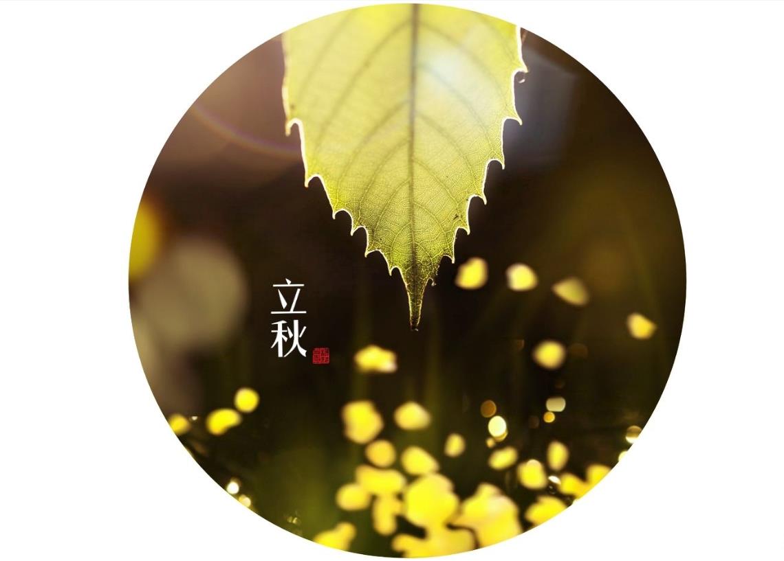 原创俗语"立秋不下雨,二十四个秋老虎",啥意思?古人经验之谈!