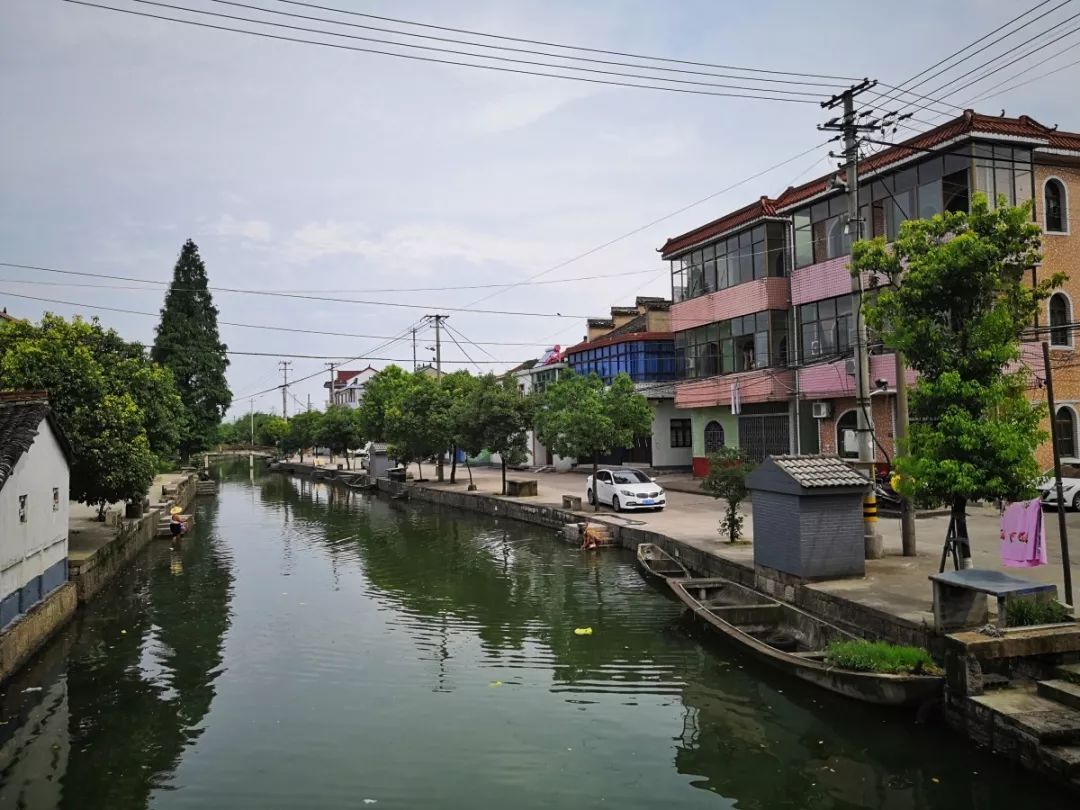 辛岸村人口_辛村精市