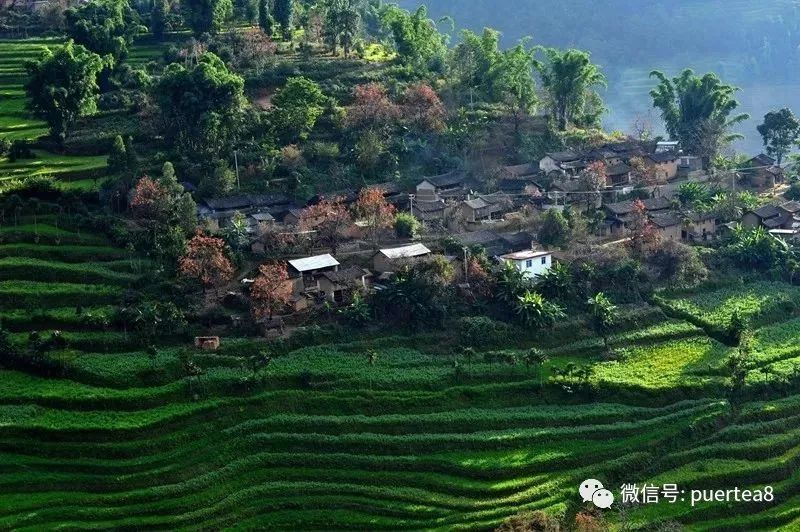 大美临沧 | 不可错过的原生态古村落,神秘的民族风情