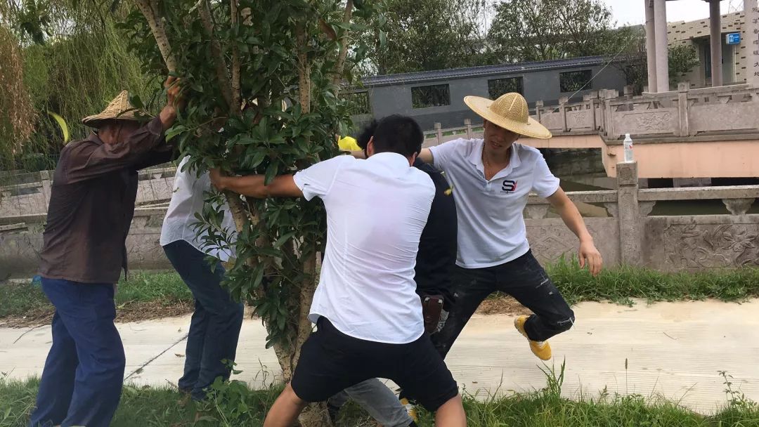 松门镇多少人口_北流隆盛镇有多少人口