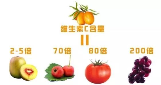 546acbb06e72423c908a98c6cf0124f6.jpeg