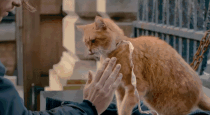 557855253c9c4946b942e5dbfb50f590.gif
