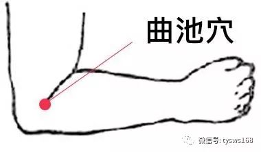 曲池:人体曲池穴位于肘横纹外侧端,屈肘,当尺泽穴与肱骨外上髁连线