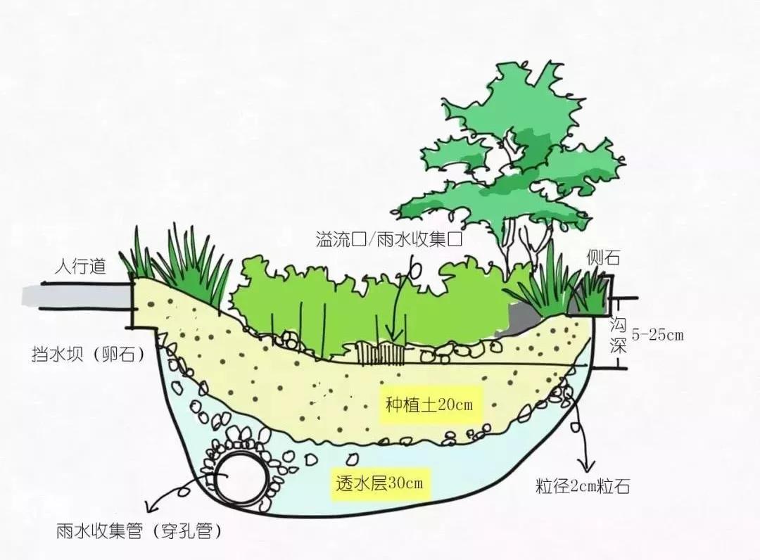 鉴筑丨如何破解暴雨天看海魔咒海绵城市有话说