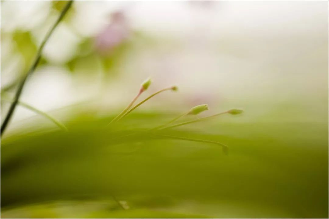 749e1f833ae9427380ab7581cc7a842a.jpeg