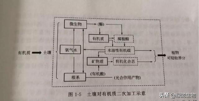 微生物作用于有机质产生腐殖物和水溶性有机碳,促进土壤的肥沃和农