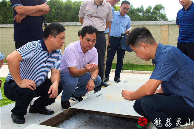 陆汉川实地查看了武利工业园污水处理厂,向工作人员