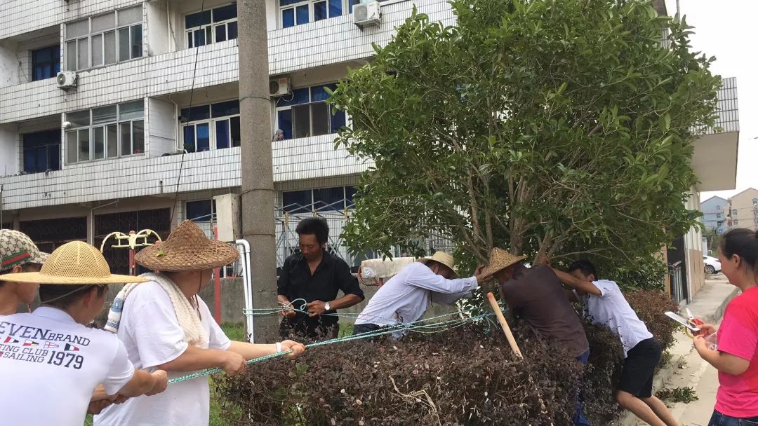 松门镇多少人口_北流隆盛镇有多少人口