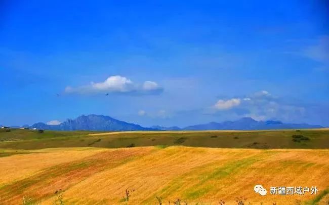 去南山牧场怎么穿搭_南山牧场(3)