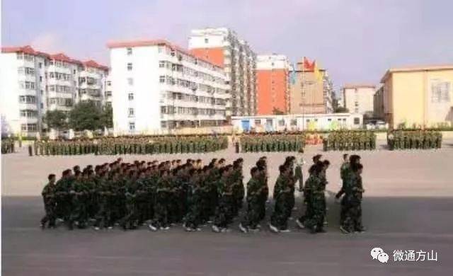 免费公立职业学院 8d869ccc21e1427d9319481671b51596.jpeg